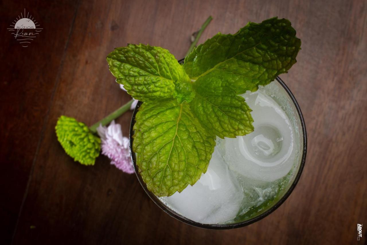 Pousada Praia Joao Fernandes Armacao dos Buzios Экстерьер фото Mint leaves in a drink